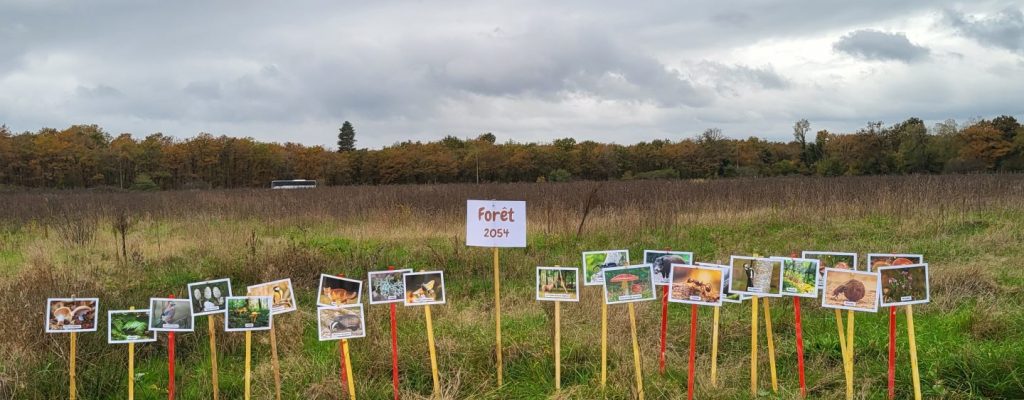 Jouy-le-Potier