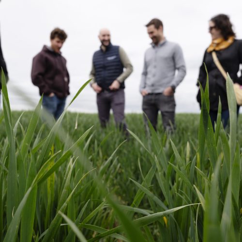 Thibault Desforges sur son exploitation agricole à Tivernon. (Ferme d’Abbonville). Visite avec Oklima. France