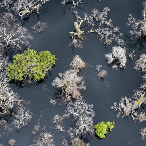 Zone Nationale de Préservation de la Biodiversité, sur la rive nord du réservoir