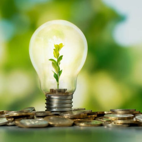 istockphoto-1439843828-612×612 Close up photo of lightbulb with growing plant inside and coin stacks as a symbol of money saving. Concept of money, investment and startup business idea.